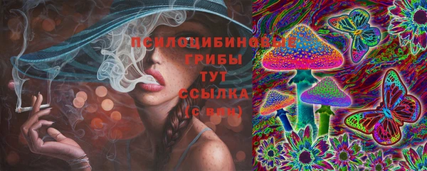 дурь Алексеевка