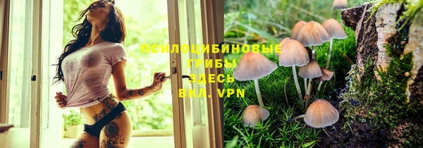 дурь Алексеевка