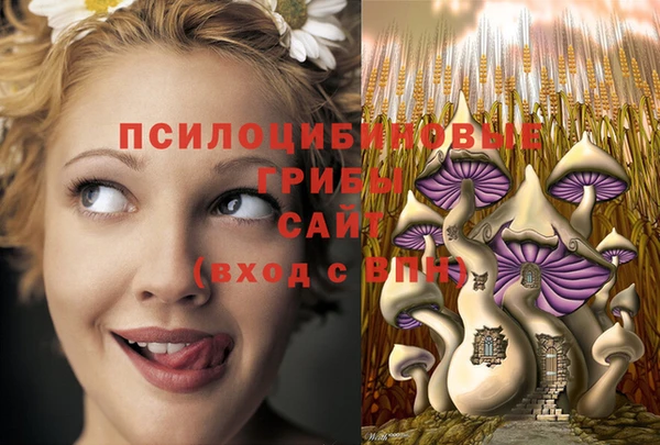 герыч Абдулино