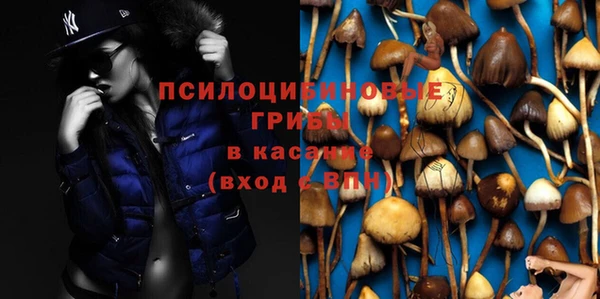 СК Алзамай